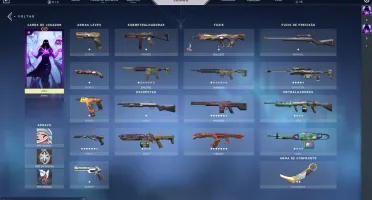 Conta valorant Varias Skins/ Full acesso