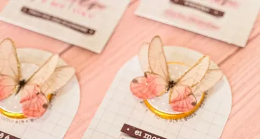 Kit Digital - Dia da Mulher 2025 Coletiva completa