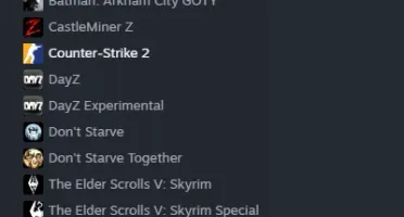 Conta steam 11 anos- Lvl 13 - Rocket league/Cs2 prime/Dayz/+
