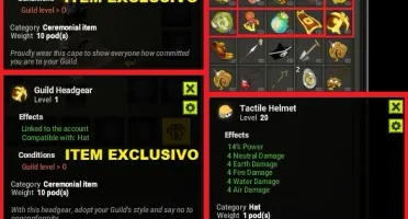Roublard lvl 200; Possui Elmo e Capa de Guilda (COG 2016)