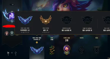 D3 Flex G4 Solo Duo