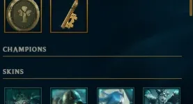 Conta Diamante I Flex Supplyboost