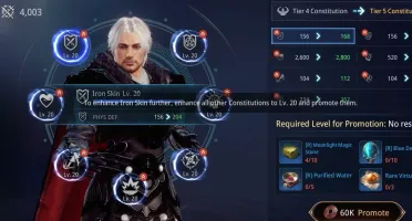 CONTA MIR4 LV 46 COM 46K DE POWER(47 COM GUILD)