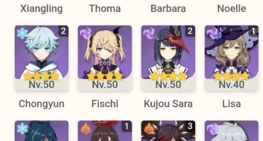 Ayaka C1+Raiden+Lança de jade+itto