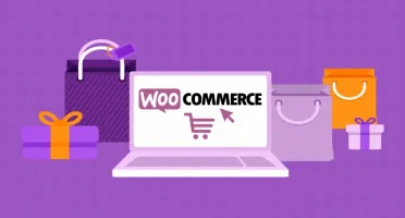 Plugin Woo Redirect After Payment