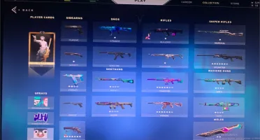 Conta Valorant Dima II - 520$ Gastos Várias Skins