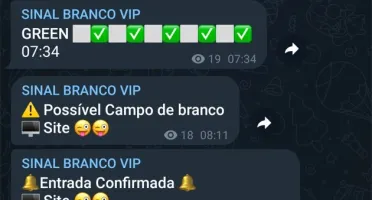 ROBÔ BLAZE VIP SÓ BRANCO