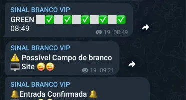 ROBÔ BLAZE VIP SÓ BRANCO