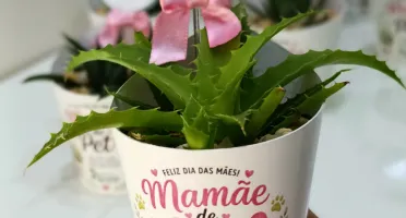 Lembrancinhas personalizadas com suculentas