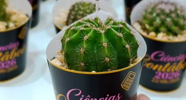 Lembrancinhas personalizadas com suculentas