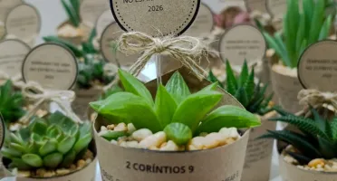 Lembrancinhas personalizadas com suculentas