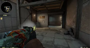 BHOP/NORECOIL/TRIGGERBOT SCRIPT POR 1 REAL