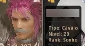 Conta BDO,789 GS, barraca, fada pot5 Pegasus t10, 2 potes