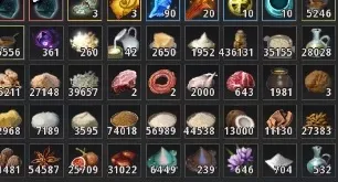 CONTA BDO SA LIFESKILL