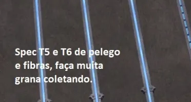 A conta Albion mais Perfeitinha do Site