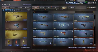 Conta Crossfire AL 13 Anos