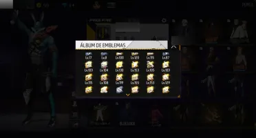 Conta rara muito gemada