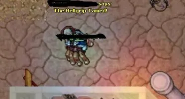 Conta tibia Elder Druid Level 160
