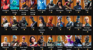 Conta Fortnite Og | Stw Fundador | Passe S5 | Muitas Skins