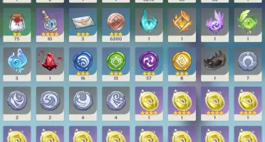 Neuvillette C1 + Bis Furina Zhongli Raiden Nahida Wanderer++