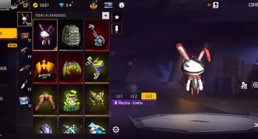 Vendo conta free fire rara, primeiro, segundo, terceiro pass