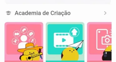 Conta kwai 300k de seguidores