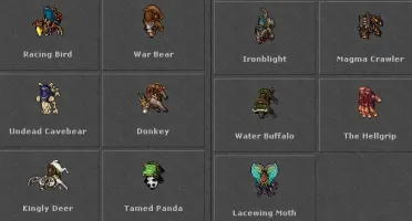 ELDER DRUID 320