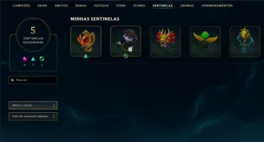Conta Prata Vários Champse Skins