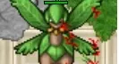 Conta level 226 no servidor purple