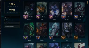 Conta Gm Flex Mestre Soloq Ex Challenger