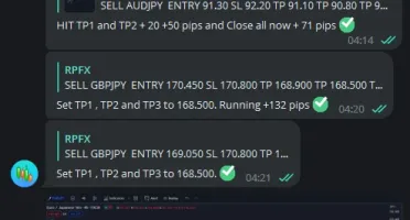 2 GROUPS OF SIGNALS GOLD AND CURRENCY PAIRS - 24 MONTH 