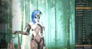 Conta black desert