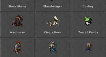 PALADIN LEVEL 316 NON PVP