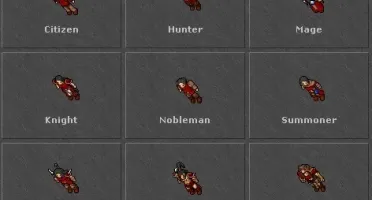 PALADIN LEVEL 316 NON PVP