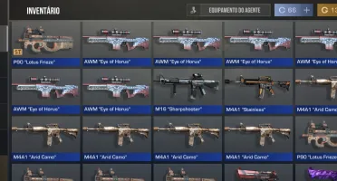 Conta muito boa Standoff 2 no preço