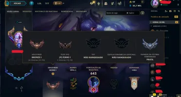 Conta de League of Legends à venda – Nível 698 - 274 Skins