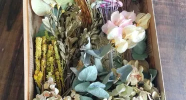 Caixa Botânica - 11 Espécies de Flores e Folhas Desidratadas