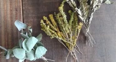 Caixa Botânica - 11 Espécies de Flores e Folhas Desidratadas