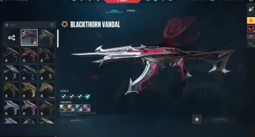 Conta Valorant Vandal Espinho Negro Phantom Floreterea Sheri