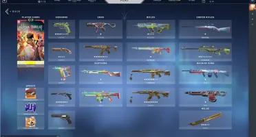 VENDO CONTA VALORANT RADIANT COM SKINS