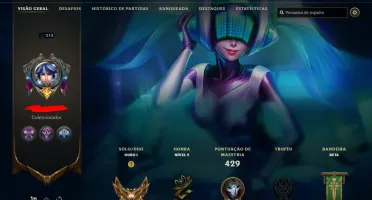 Fullacesso - Conta De 2017 - 78 Skins - Level 312 - 154 Camp