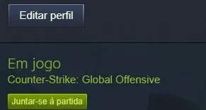 CONTA GLOBAL - 300 HORAS,92 WINS,100+ELOGIOS *LVL 17 STEAM*