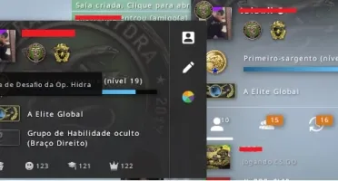 CONTA GLOBAL - 300 HORAS,92 WINS,100+ELOGIOS *LVL 17 STEAM*