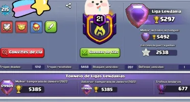 CV 14 TOP