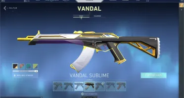 Conta Valorant - + 800 reais gasto