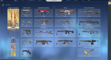 Conta Valorant - + 800 reais gasto