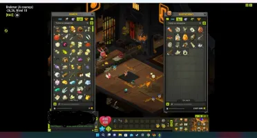 Conta dofus ilyzaelle