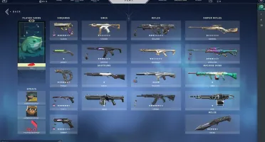 CONTA RIOT COM 17 FACAS NO VALORANT E 600+ SKINS NO LOL