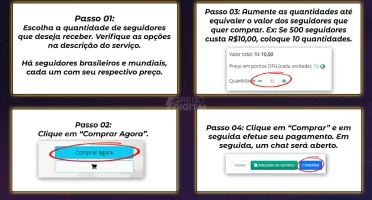 Seguidores Brasileiro E Estrangeiros