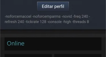 CONTA STEAM 15 ANOS MEDALHAS DE 5 E 10 ANOS CSGO COM PRIME